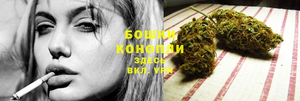 ешки Горняк
