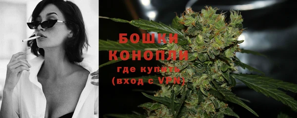 прущие грибы Горнозаводск
