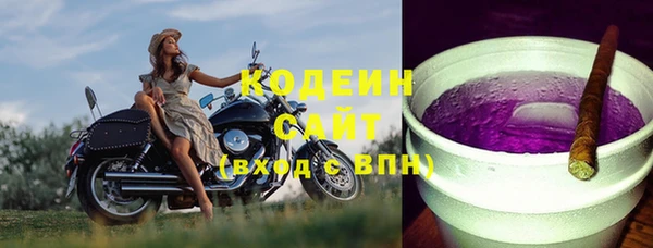 шишки Горно-Алтайск