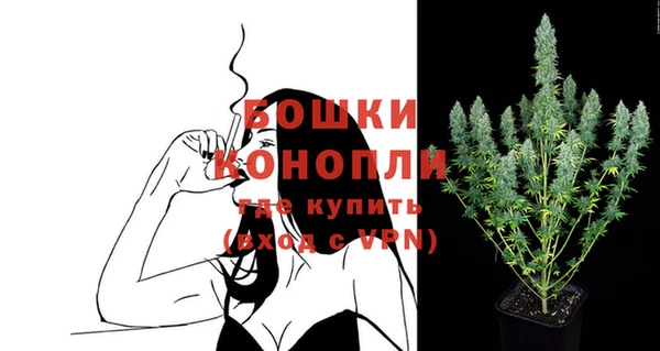 ешки Горняк