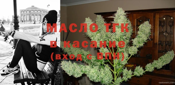 индика Володарск
