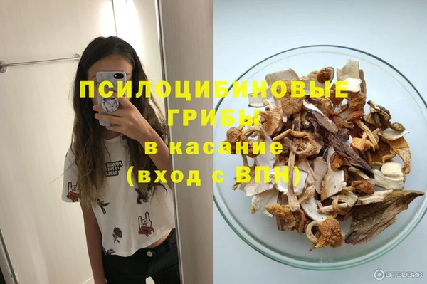 mdpv Волоколамск
