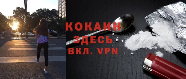 прущие грибы Горнозаводск