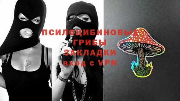 соль ск Вязьма