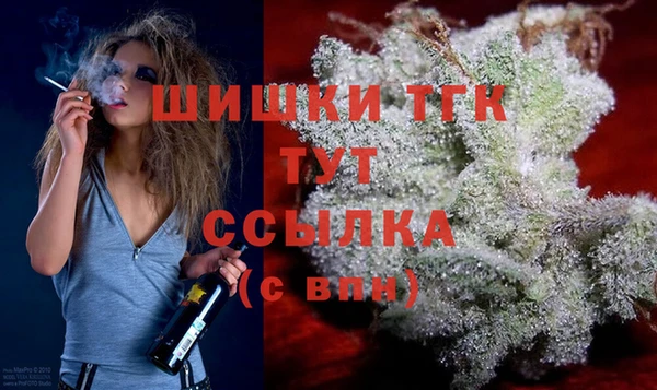 соль ск Вязьма
