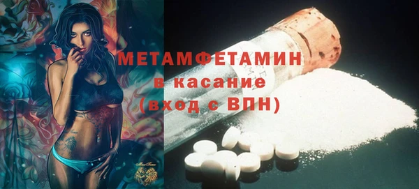 шишки Горно-Алтайск
